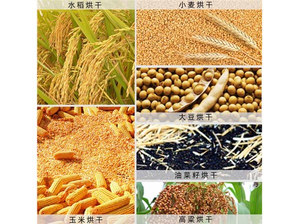 果蔬烘幹房成為廣大農民朋友的烘幹（gàn）主力設備