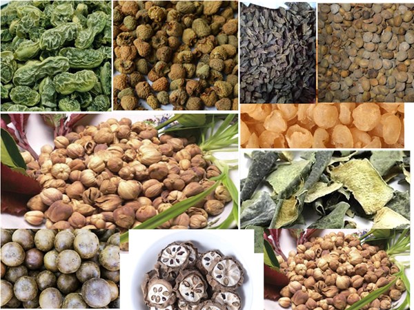 中藥材幹燥設備發展（zhǎn）