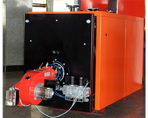 燃（rán）氣燃油鍋爐(點擊進入）
