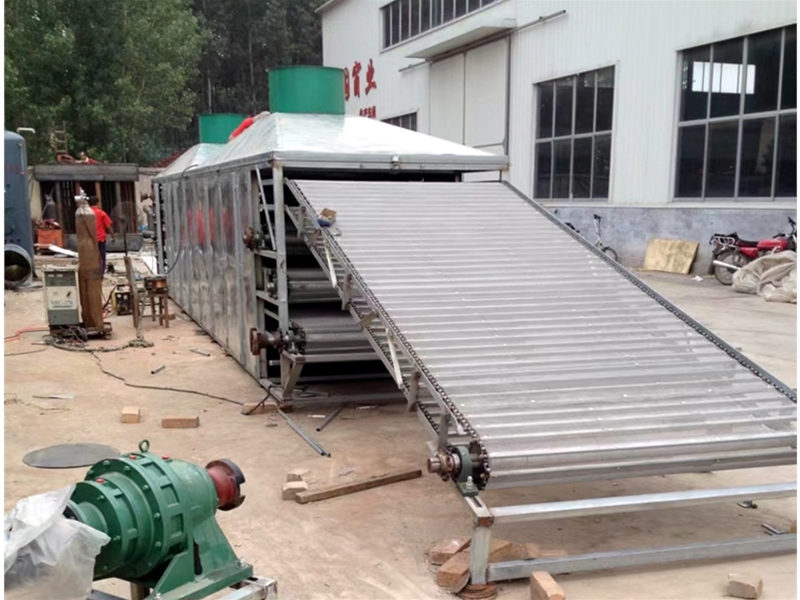 Wood chip mesh belt dryer