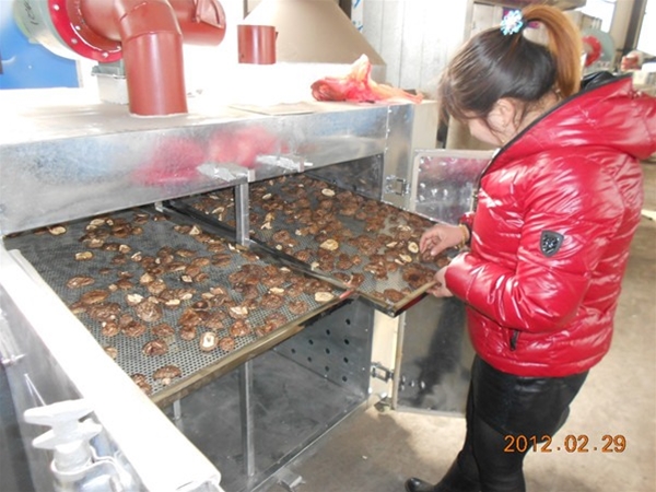 箱式蘑菇烘幹設（shè）備（bèi）(點擊進入）